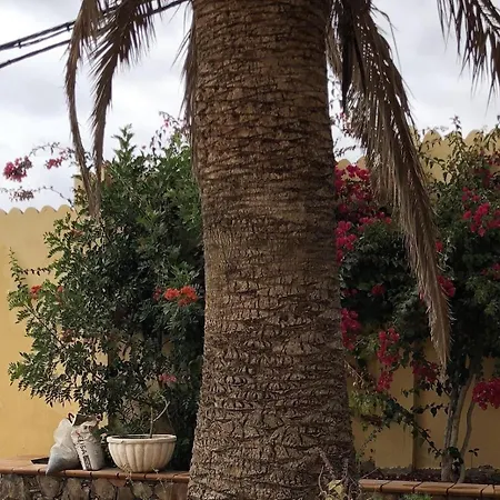 Bea Ii بيت للعطل *